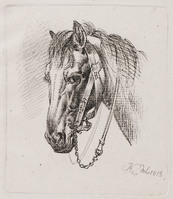 KG 01533
<br/>
Paardehoofd
<br/>
<em>Klein, Johann Adam (1792-1875)</em>